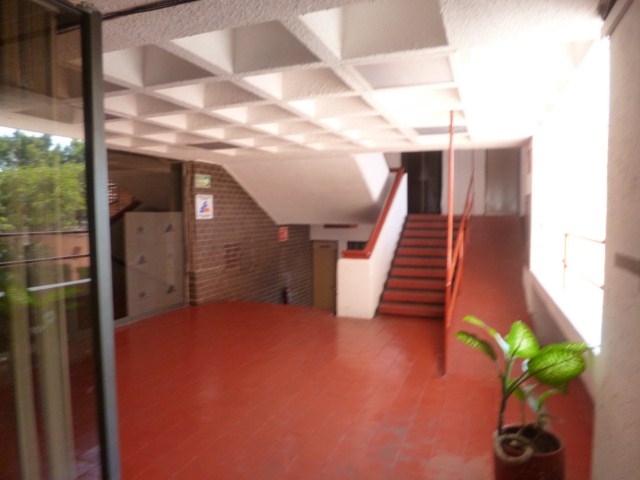Centro Historico