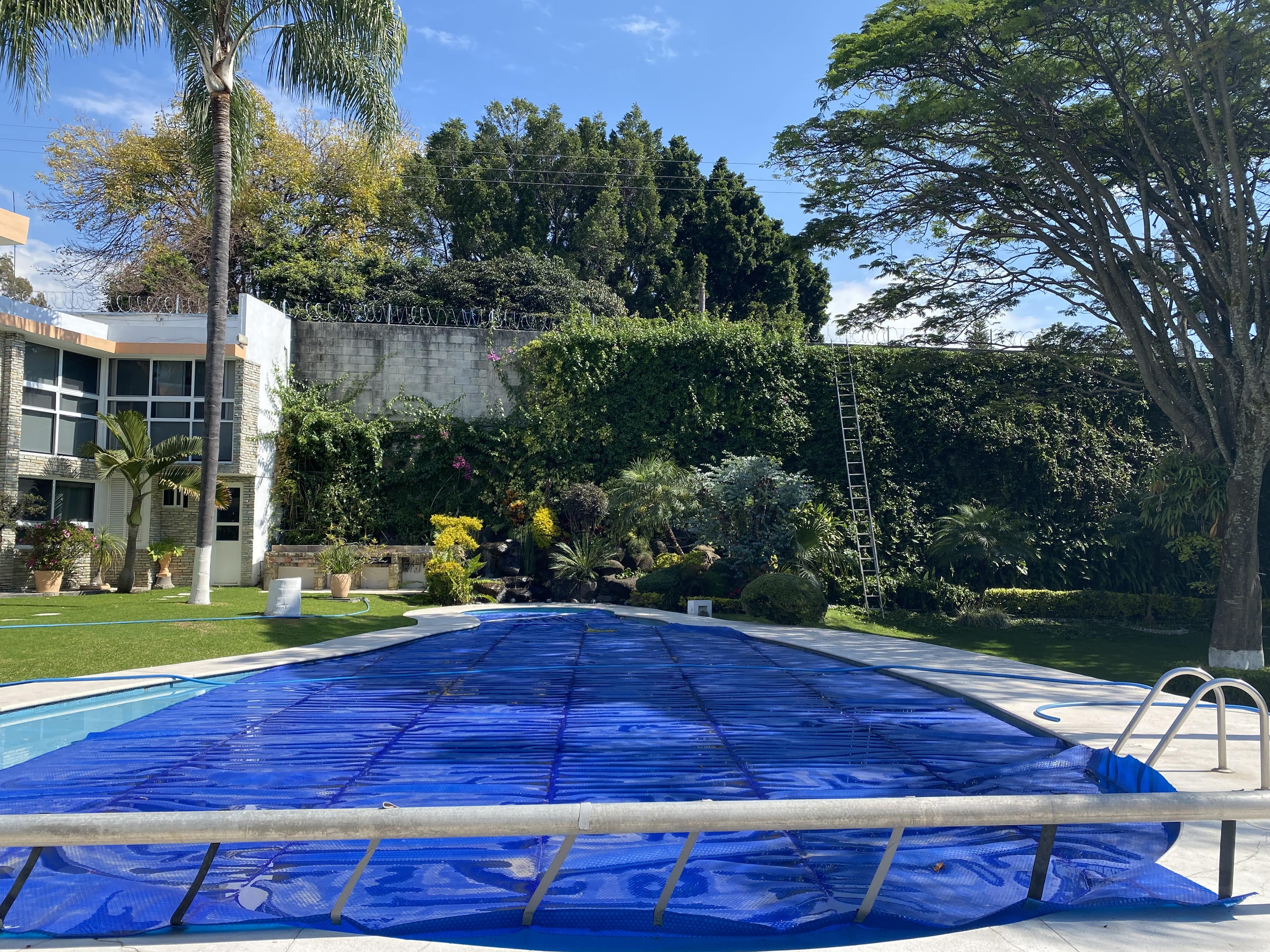 Buena Vista
