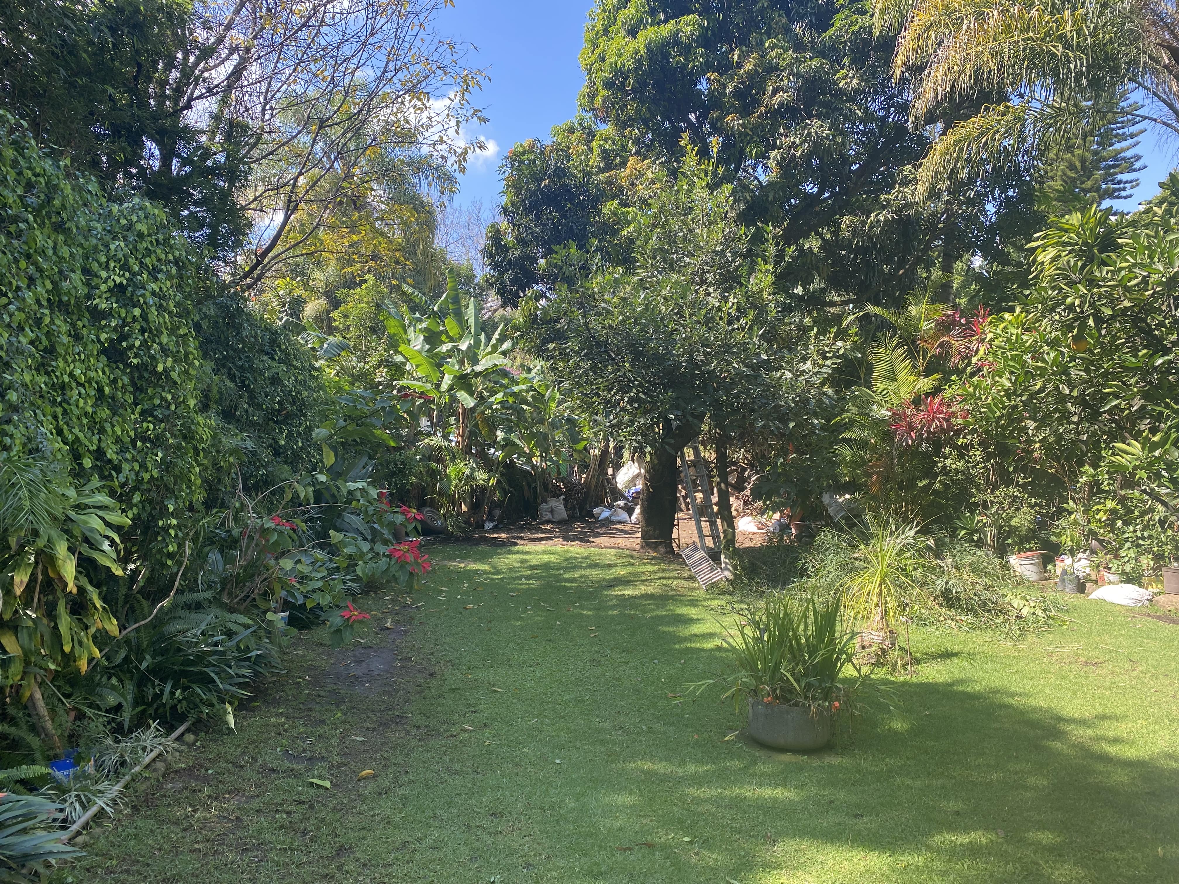 Buena Vista