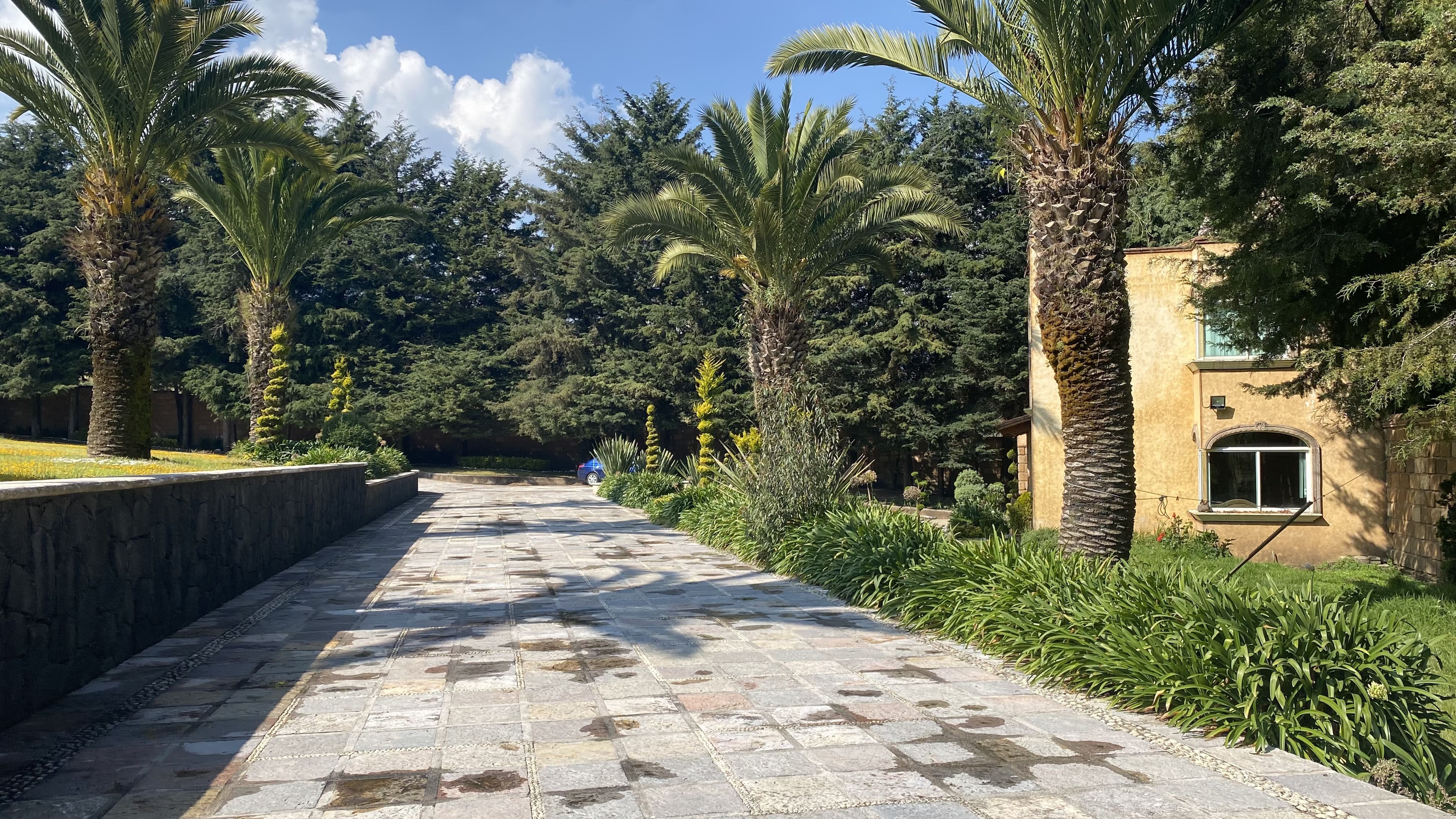Ajusco