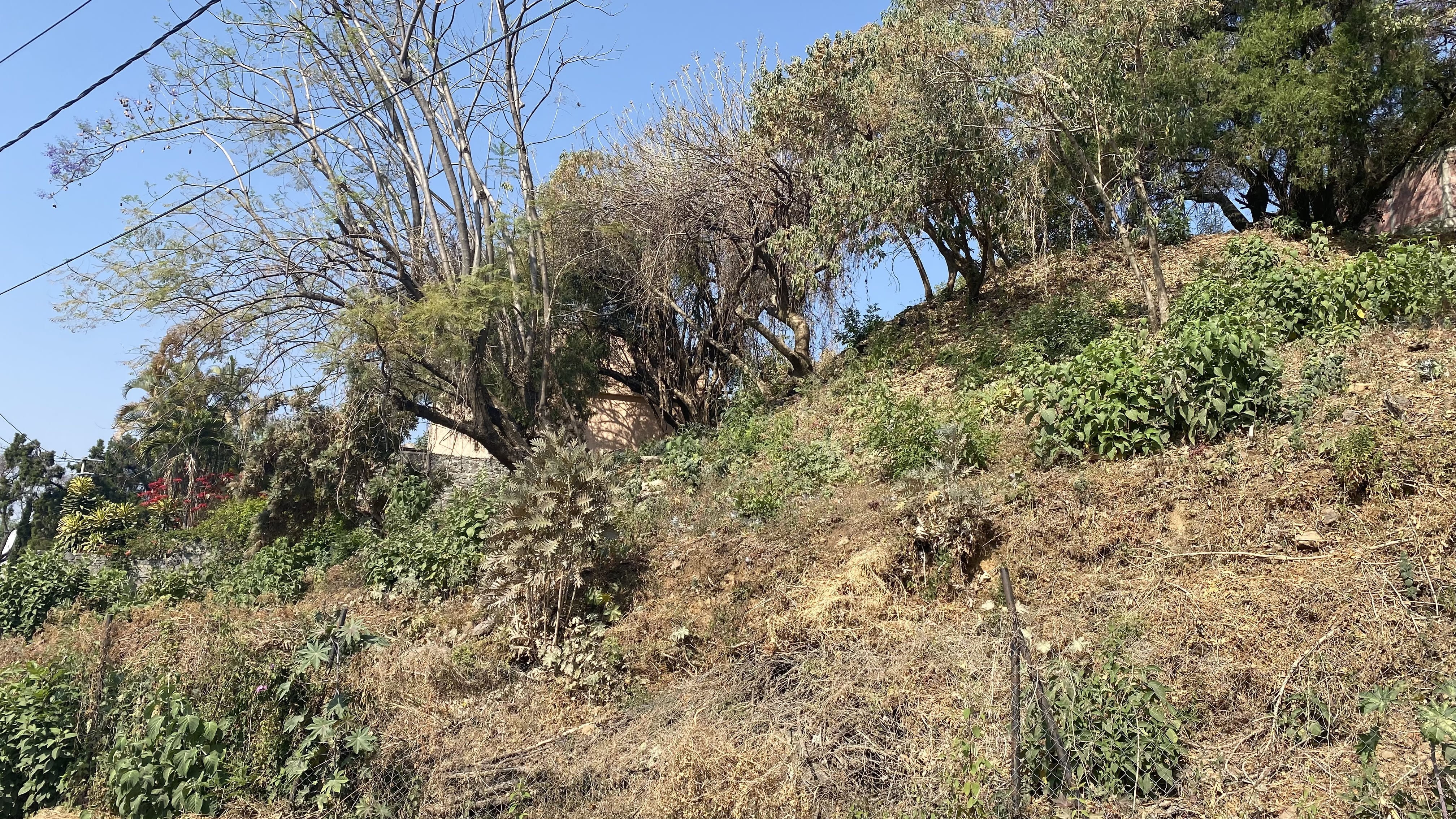 Rancho Cortes