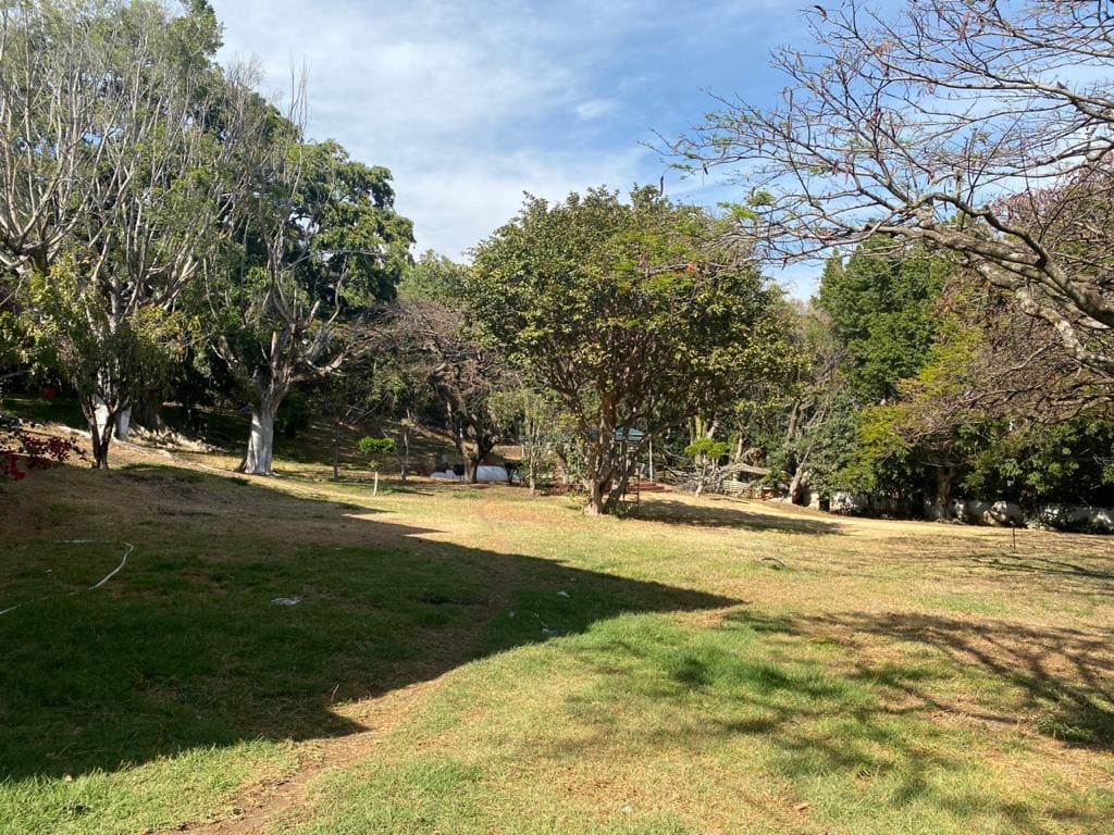 Bellavista