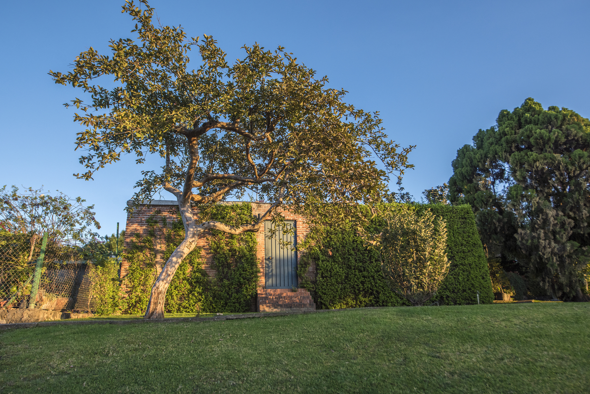Rancho Cortes