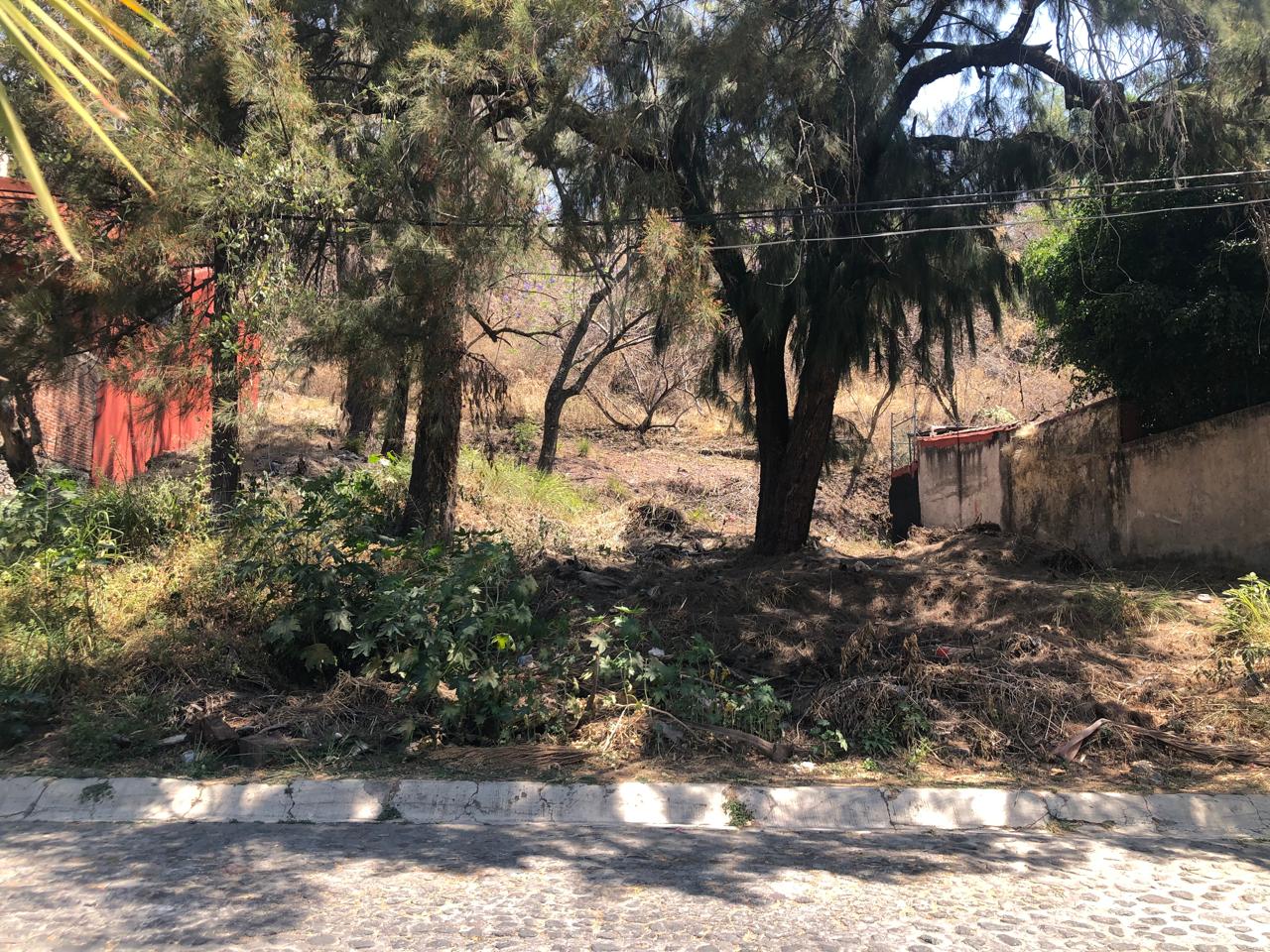 La Canada 