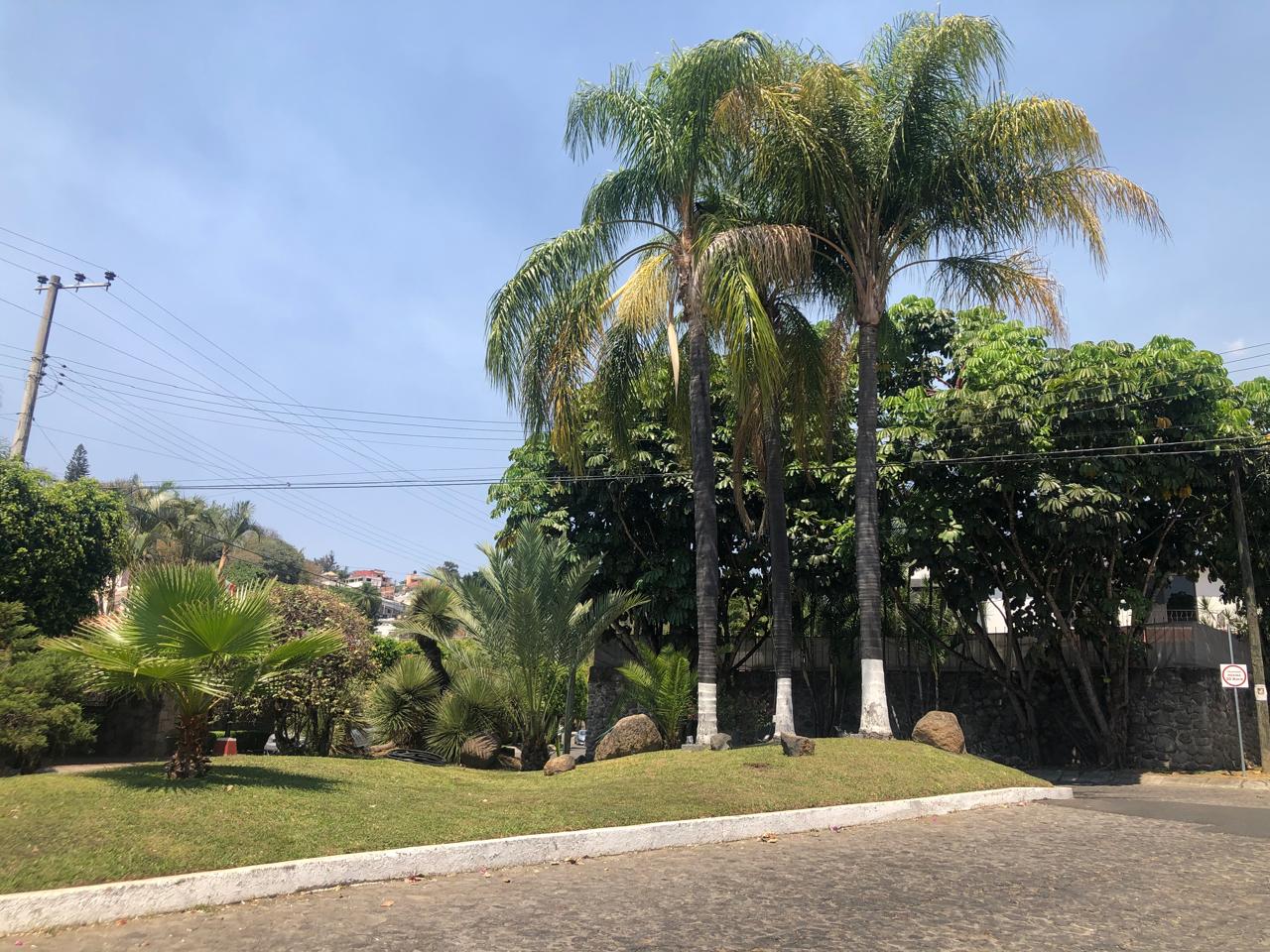 La Canada 