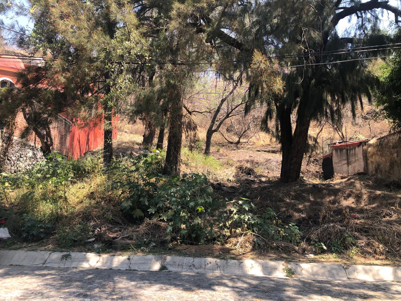 La Canada 