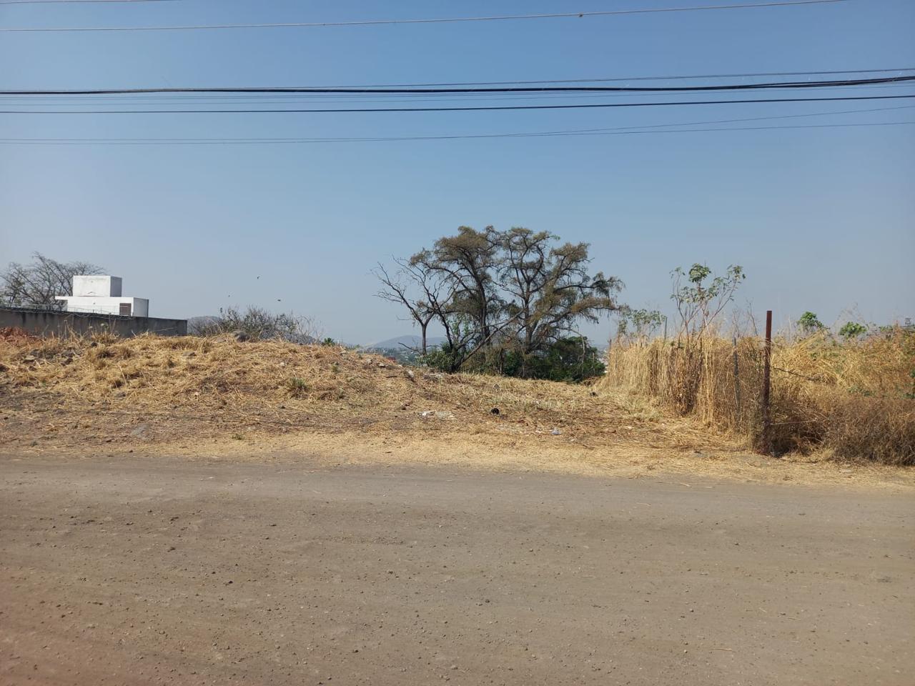 Brisas 