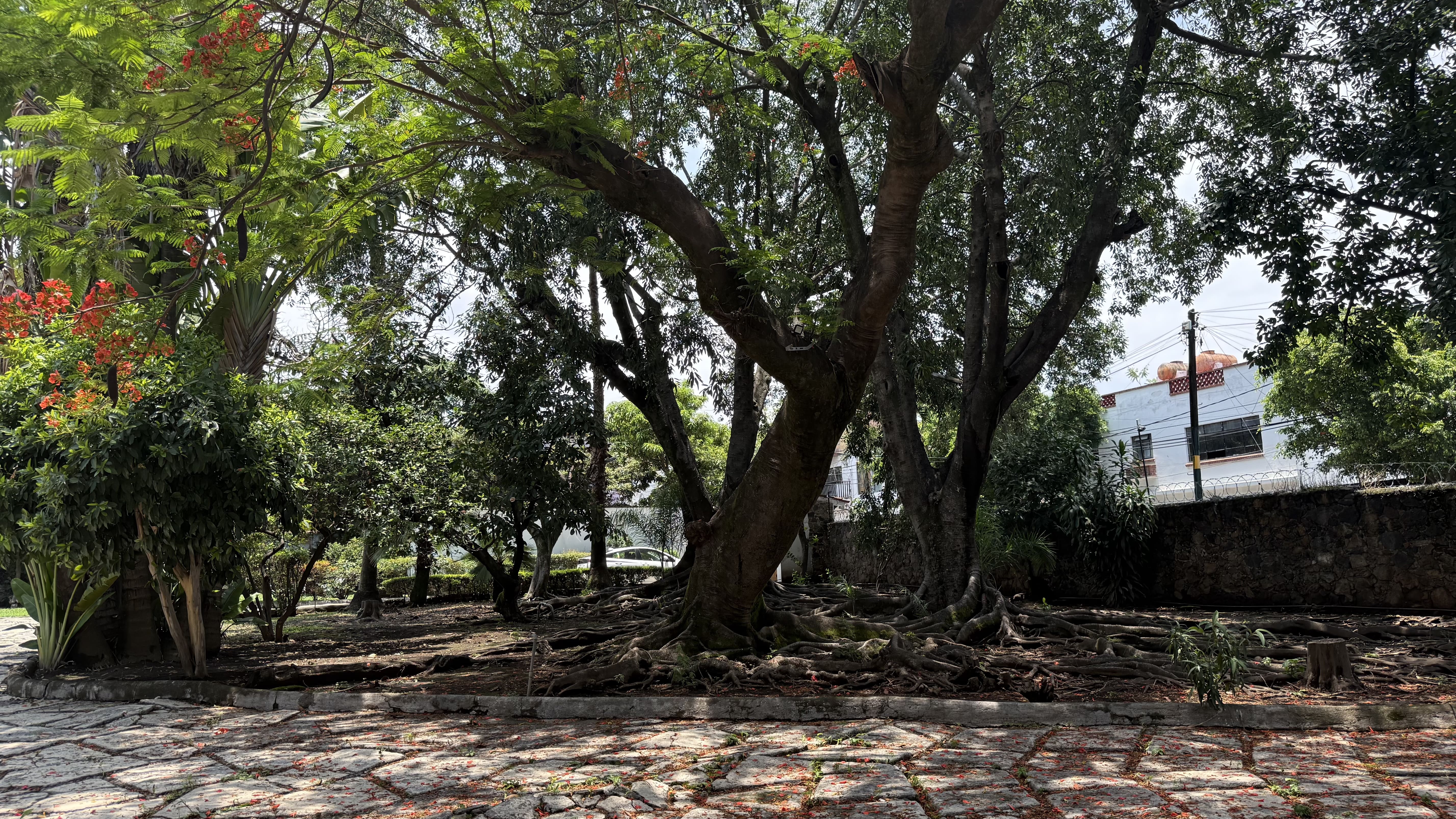 Centro Historico