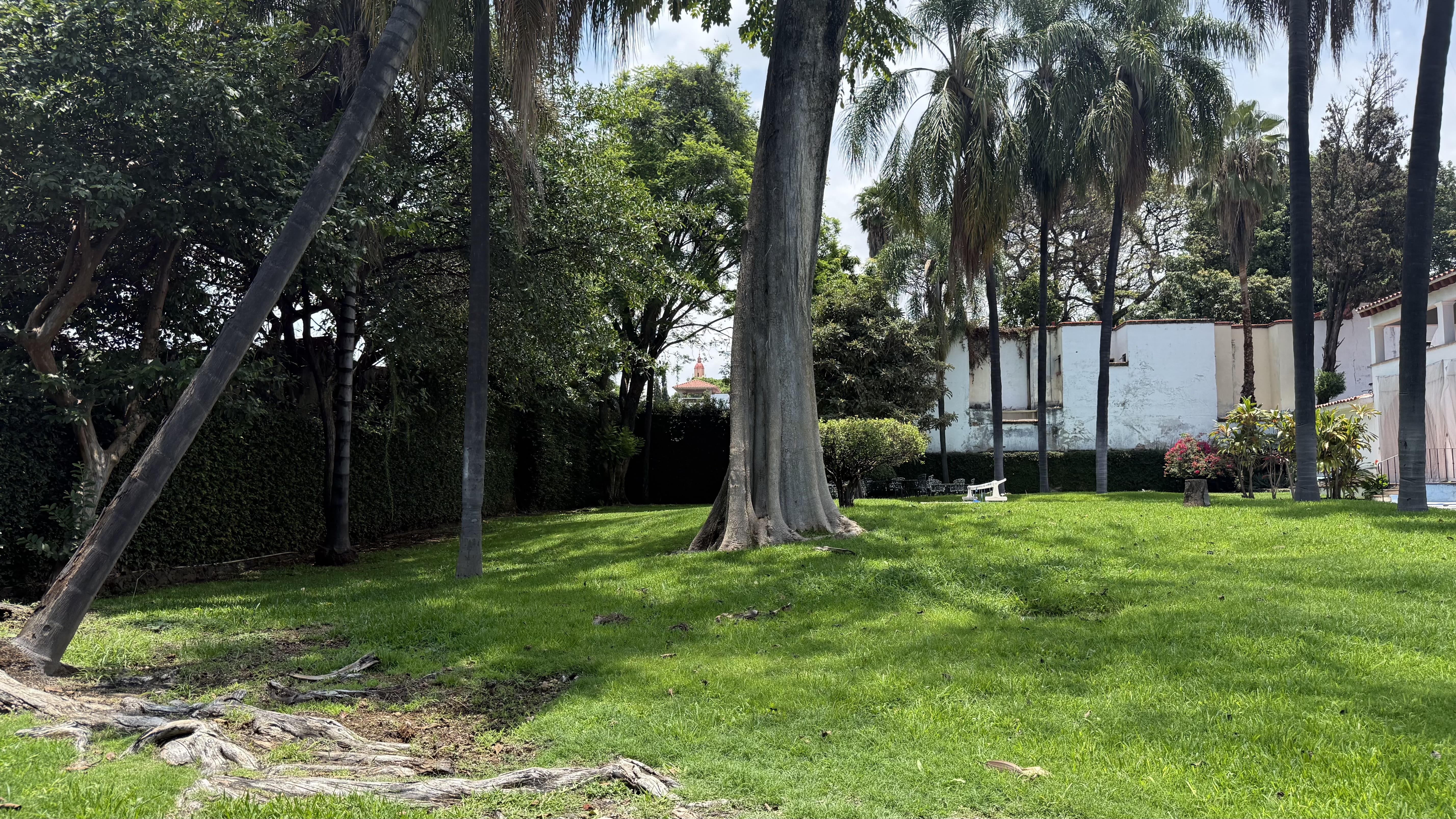Centro Historico