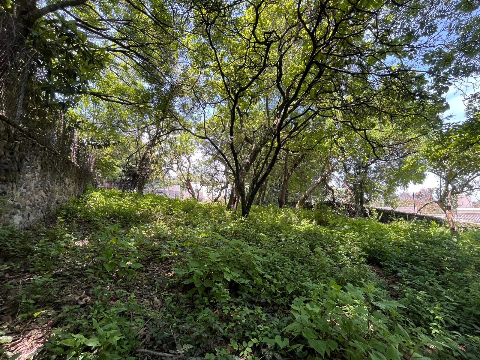 Rancho Cortes