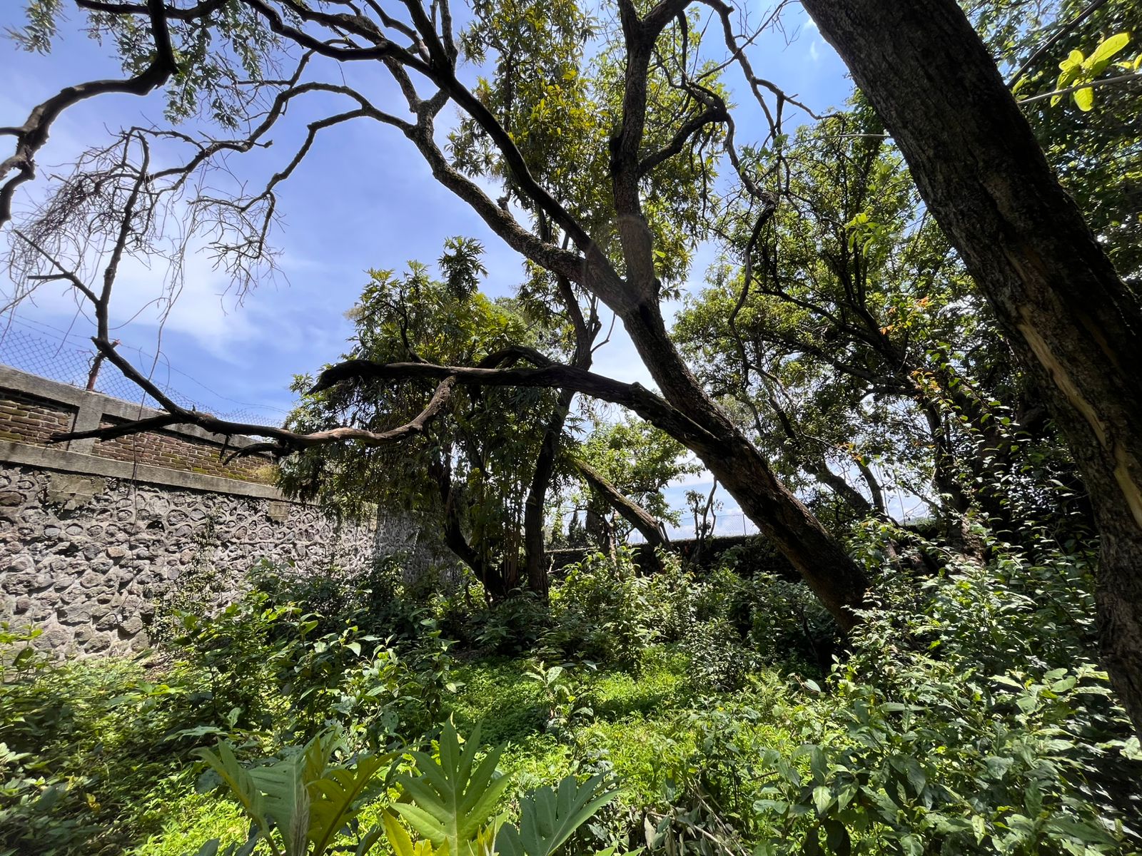 Rancho Cortes 