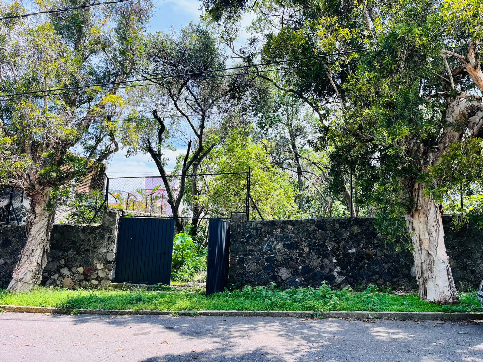 Rancho Cortes 
