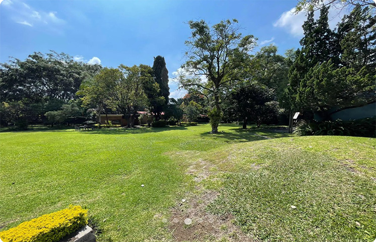 Rancho Cortes