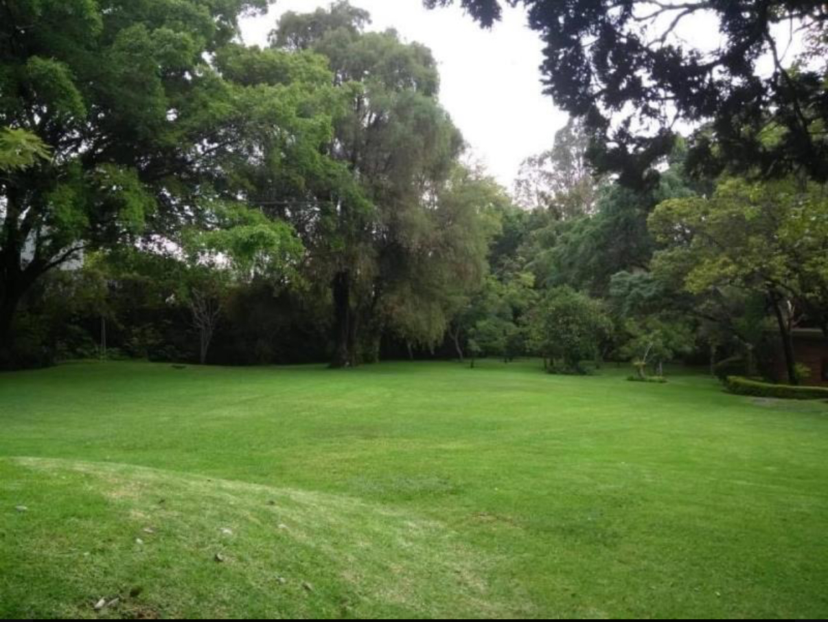 Rancho Cortes