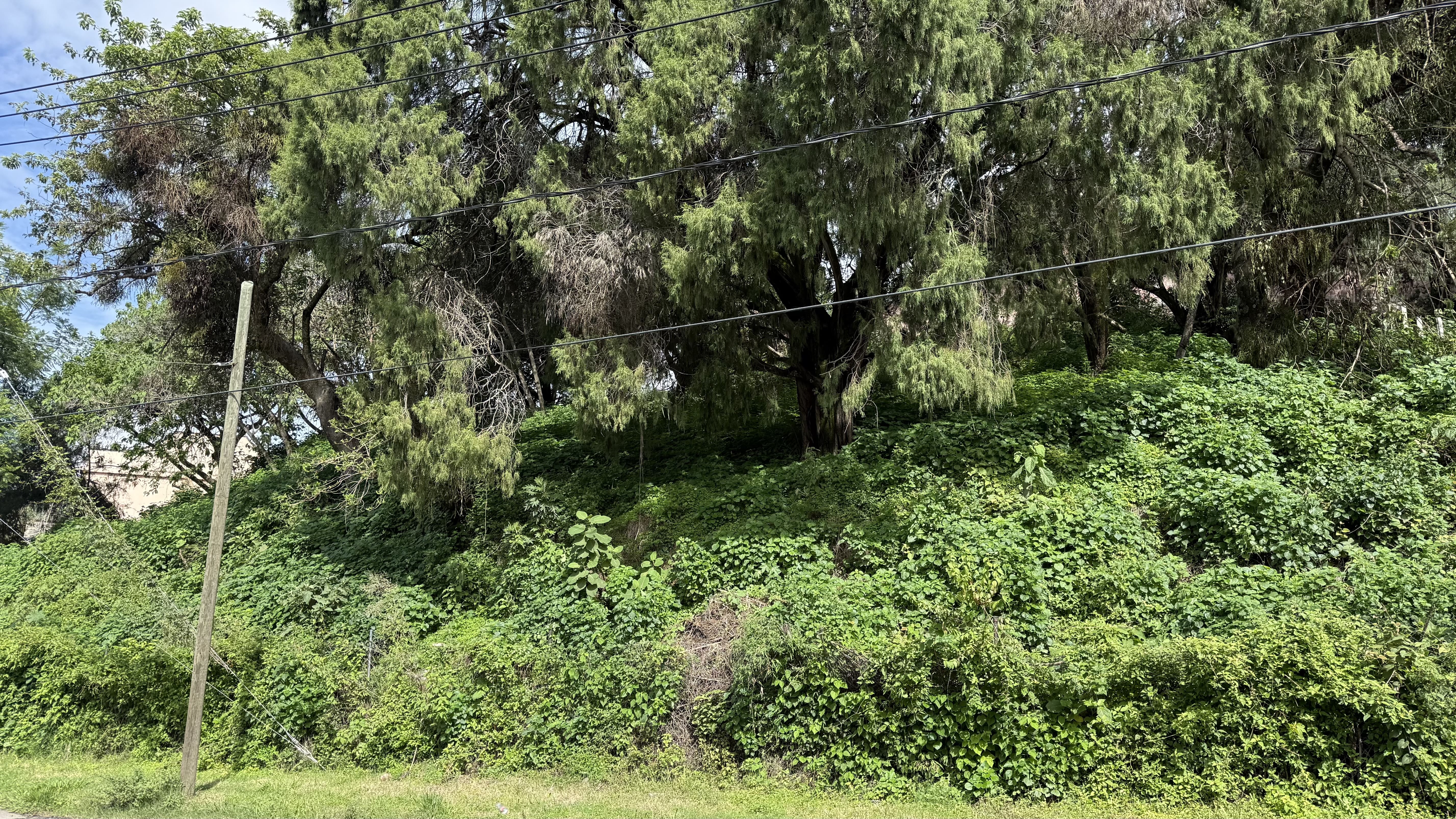 Rancho Cortes