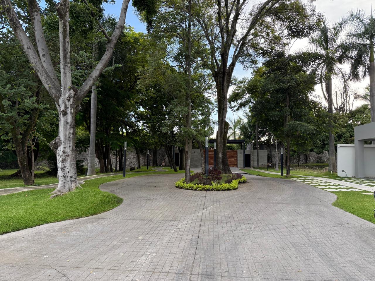 Palmira