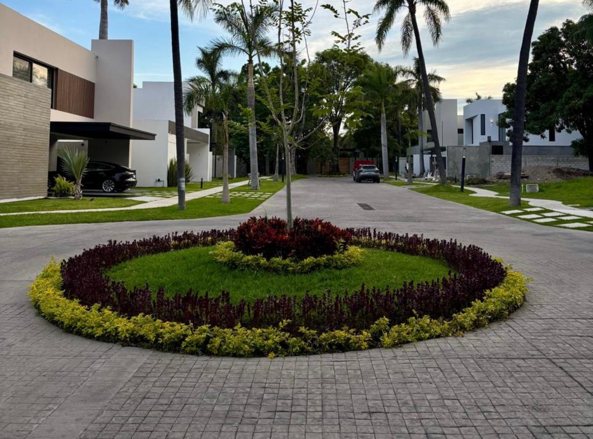 Palmira