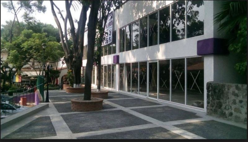 Lomas de la Selva 